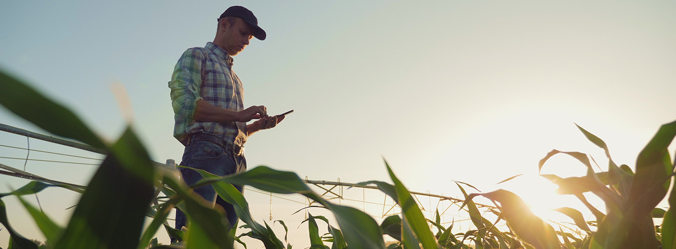 Farmer on a tablet standing in a crop field with the sun behind him.