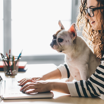 Young woman typing on a laptop with a dog in her lap. 